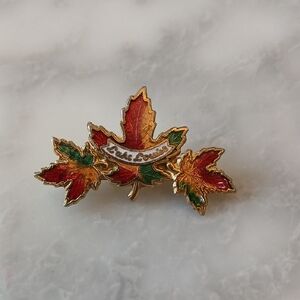 Vintage Lake Louise Canada Autumn Leaf Enamel Brooch.